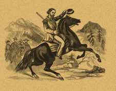 Horse